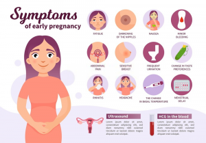 7 Early Signs Of Pregnancy –How To Detect Pregnancy Yourself – Baby ...