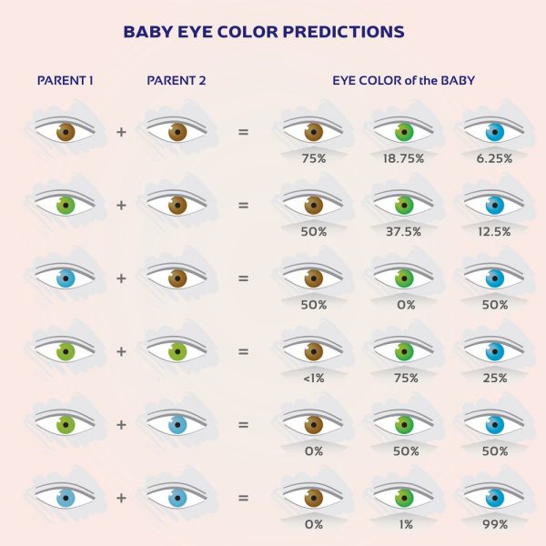 Baby eye color