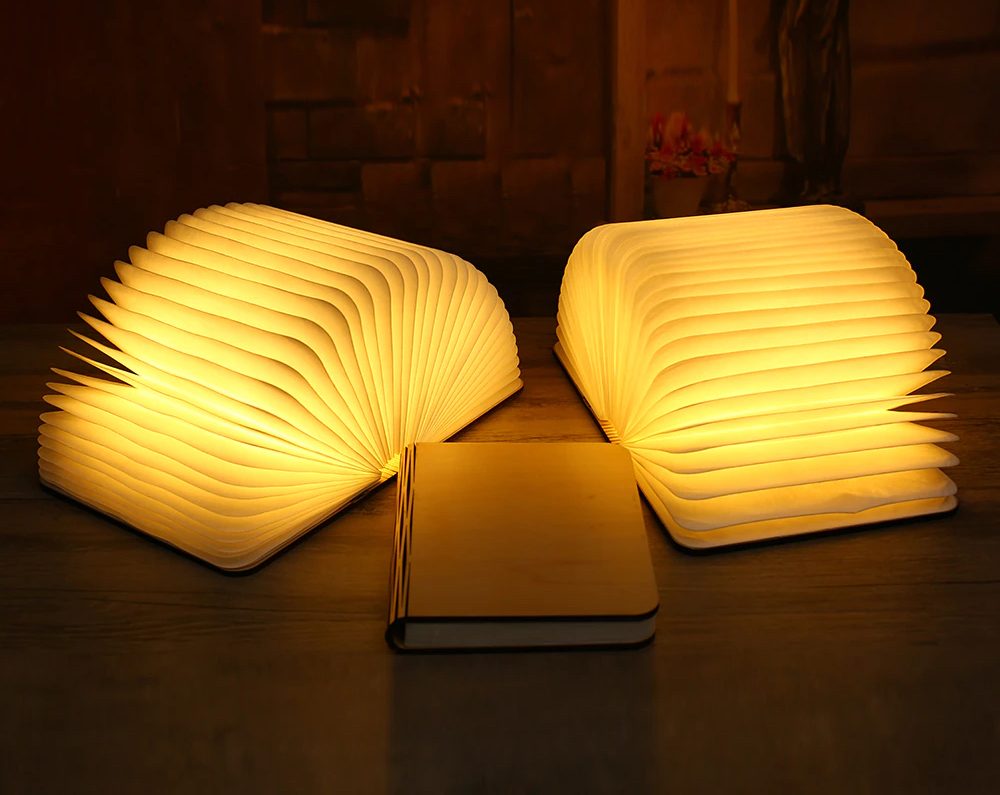 smart bible light