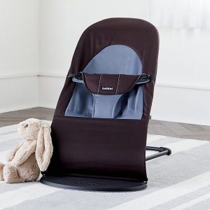 Baby Bjorn Bouncers Bliss