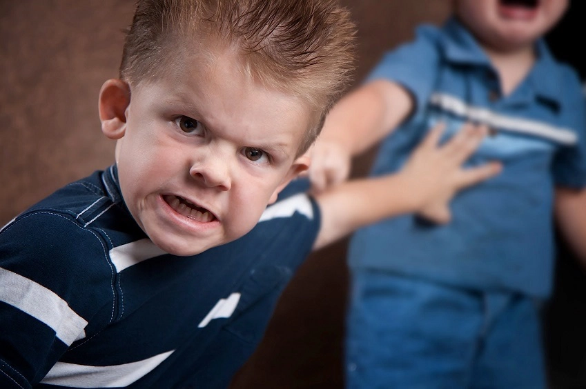 Aggressiveness In Children